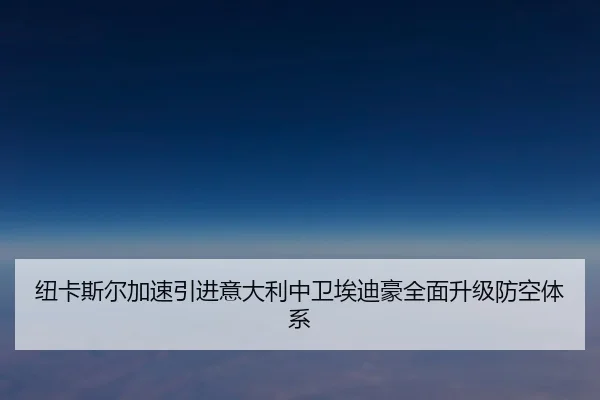 纽卡斯尔加速引进意大利中卫埃迪豪全面升级防空体系